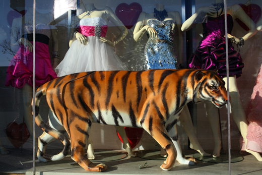 MelroseWindowshopping_LOW_37