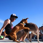 Hicksville2011_06