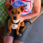 Hicksville2011_69